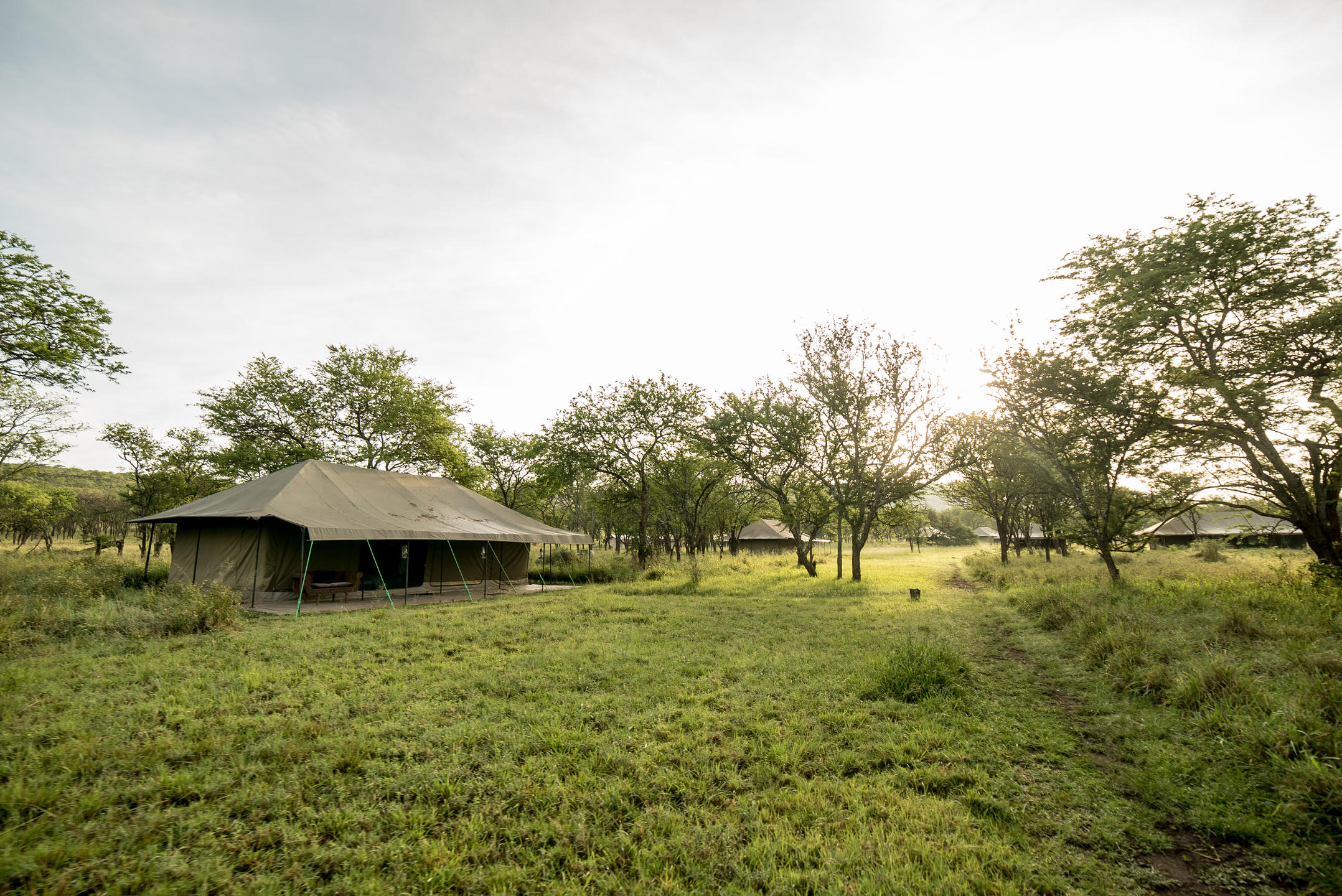 Naona Moru Tented Camp thumbnail 6